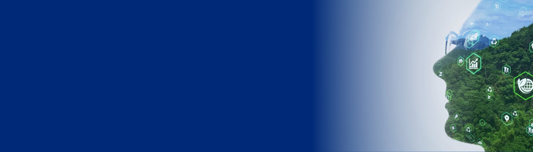 No Image found